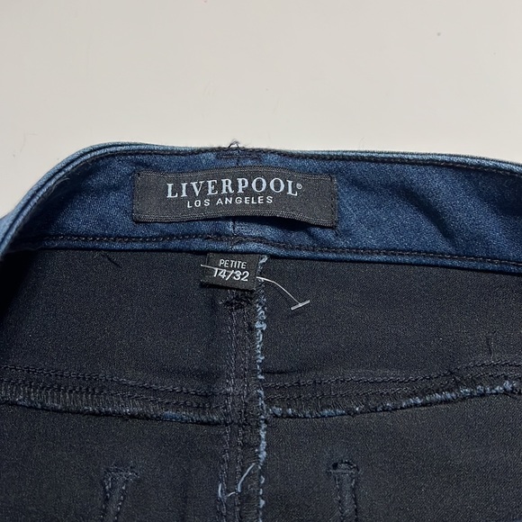 NWT Liverpool Jeans Estrella Medium Dark Stretch Released Hem Denim Skirt Sz 14P - Picture 4 of 9